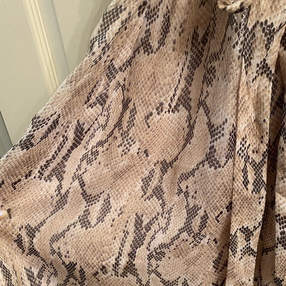 Express Dress - Picture 2 of 3